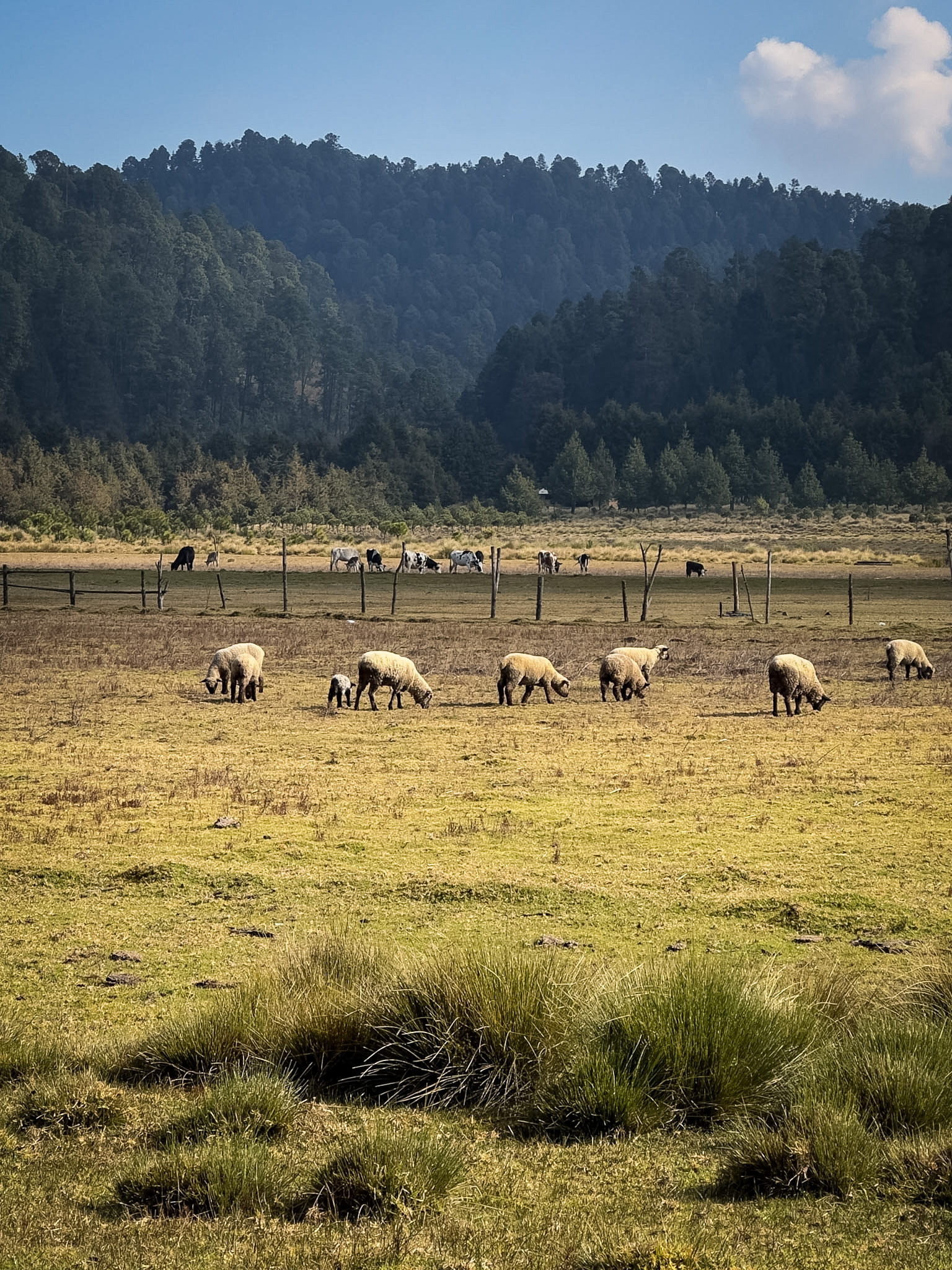 Trekking Nevado–Valle - Imagen 5